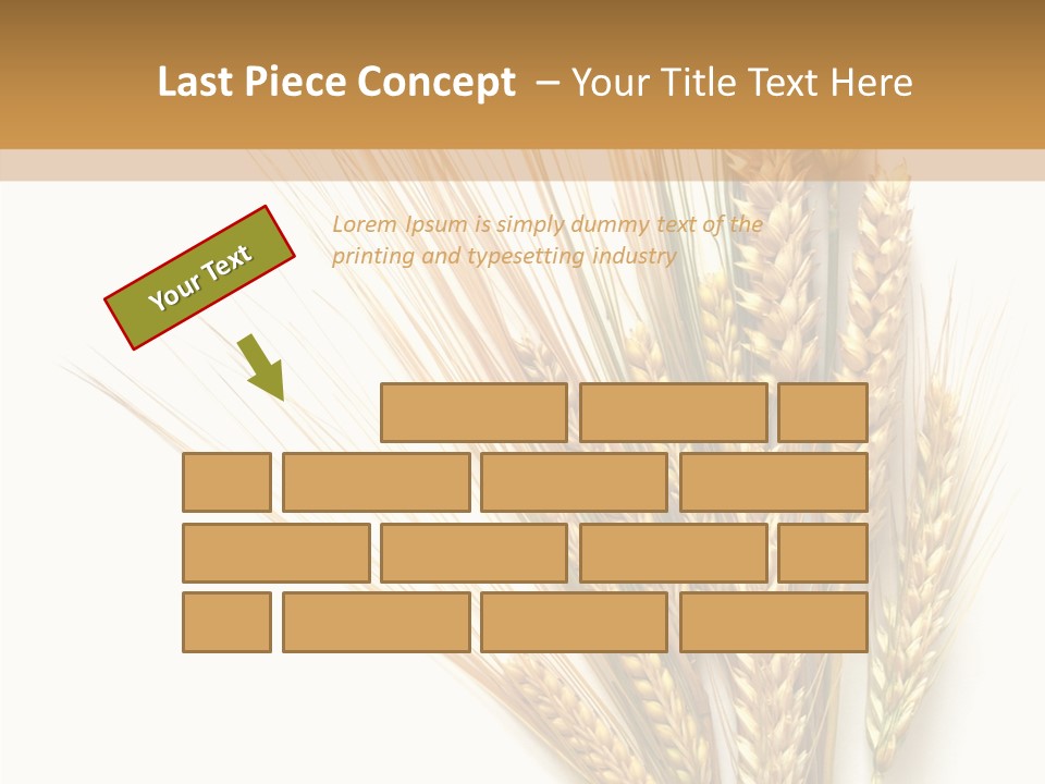 Closeup Dry Agricultural PowerPoint Template