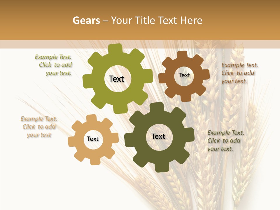 Closeup Dry Agricultural PowerPoint Template