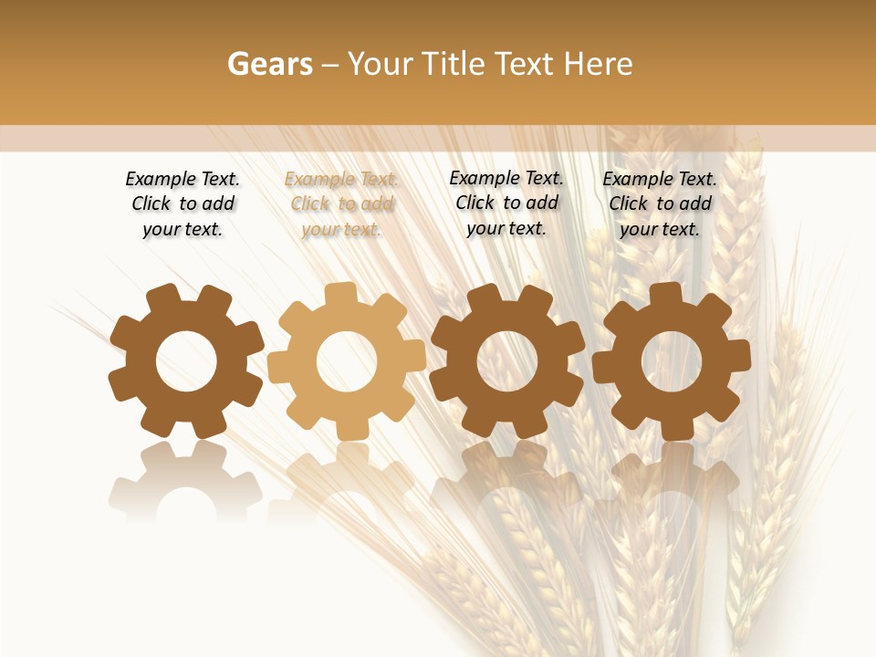 Closeup Dry Agricultural PowerPoint Template