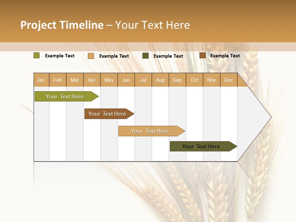 Closeup Dry Agricultural PowerPoint Template