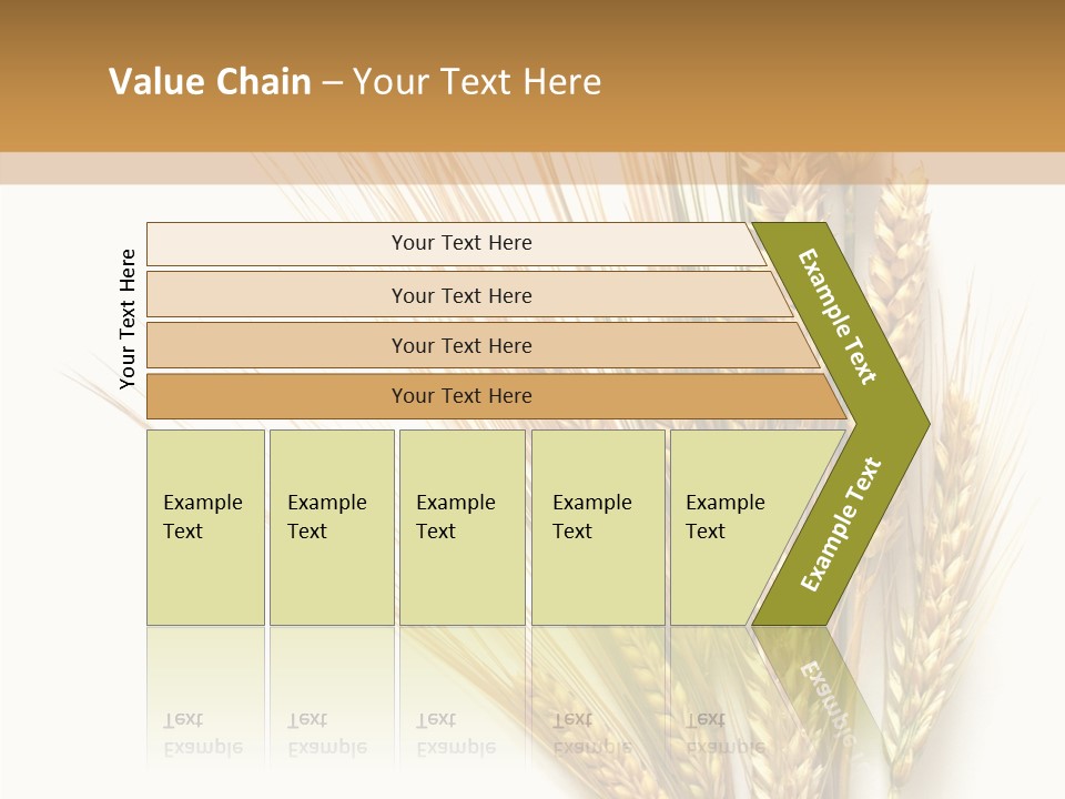 Closeup Dry Agricultural PowerPoint Template