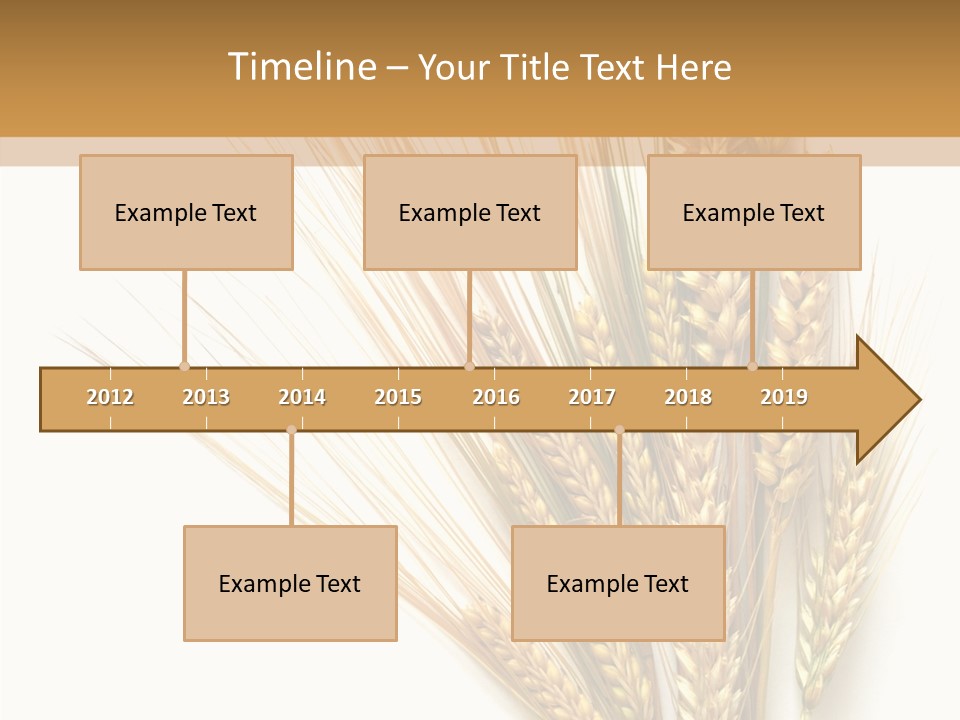 Closeup Dry Agricultural PowerPoint Template