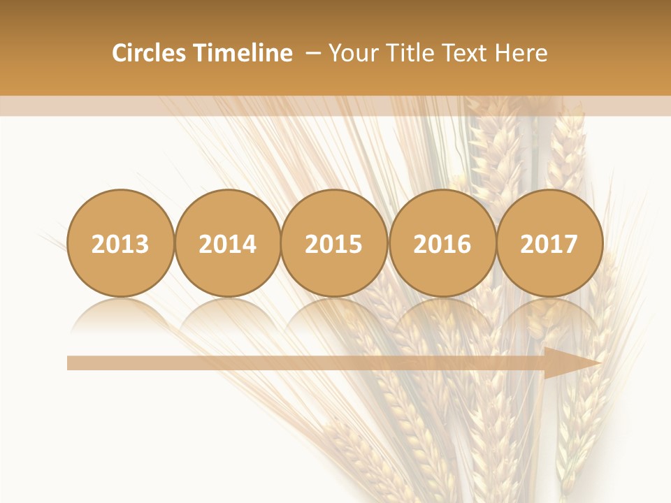 Closeup Dry Agricultural PowerPoint Template