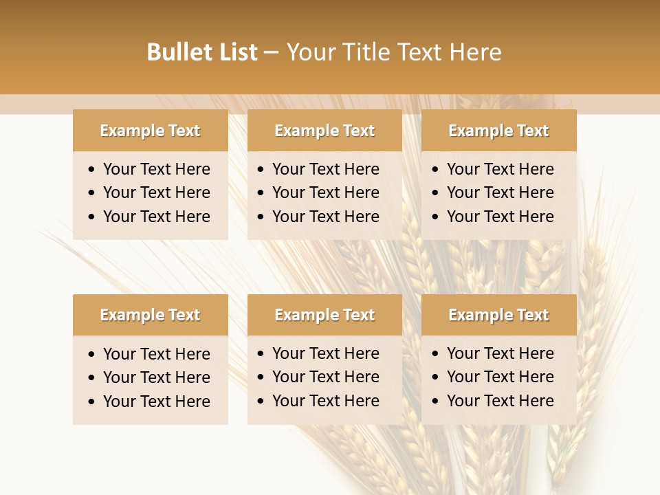 Closeup Dry Agricultural PowerPoint Template