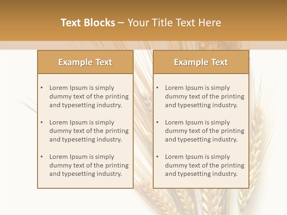 Closeup Dry Agricultural PowerPoint Template