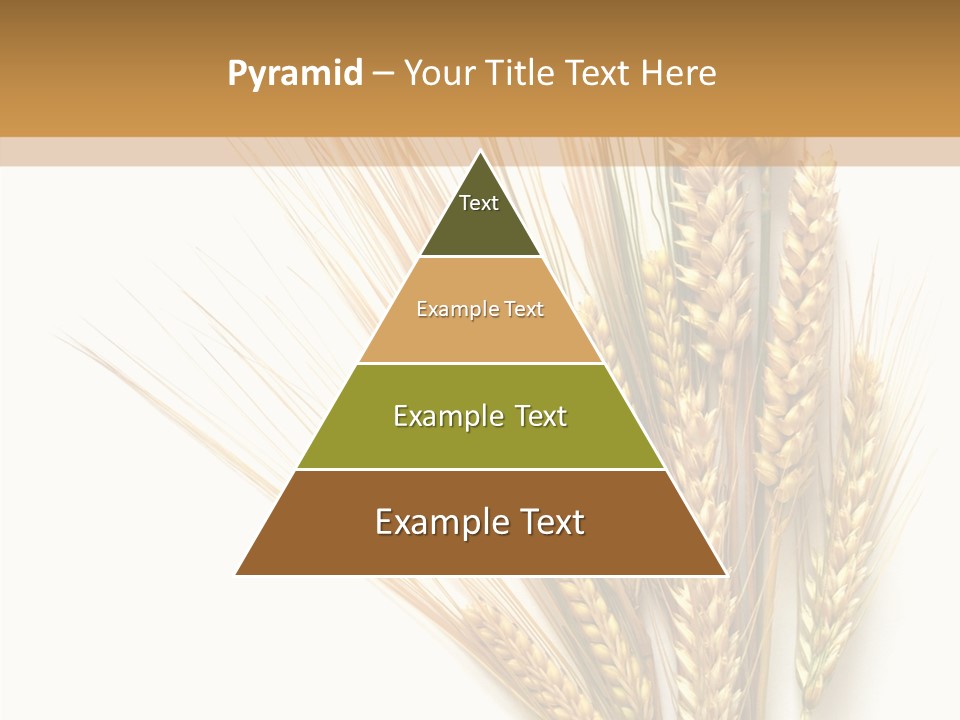 Closeup Dry Agricultural PowerPoint Template
