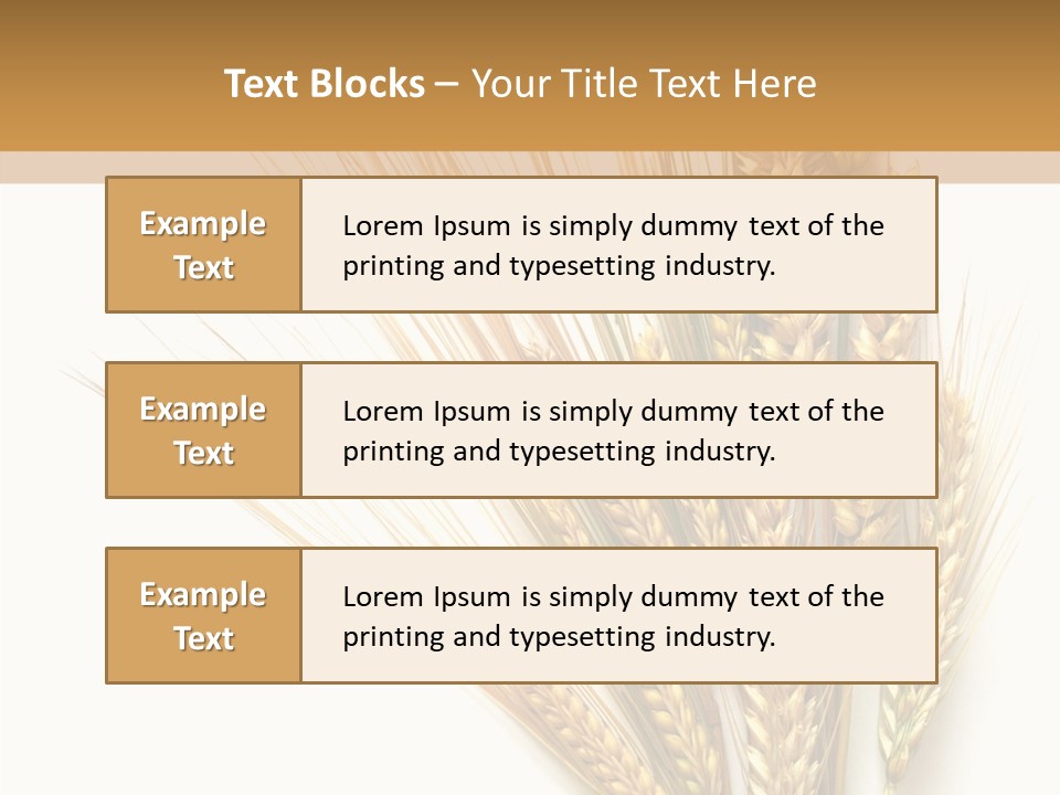 Closeup Dry Agricultural PowerPoint Template