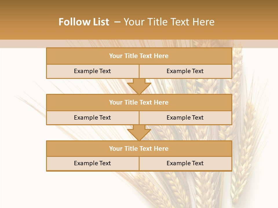 Closeup Dry Agricultural PowerPoint Template