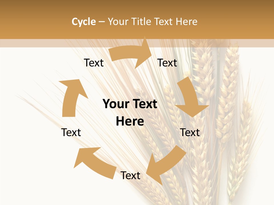 Closeup Dry Agricultural PowerPoint Template
