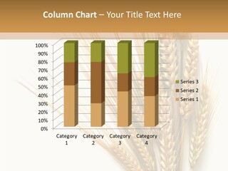 Closeup Dry Agricultural PowerPoint Template