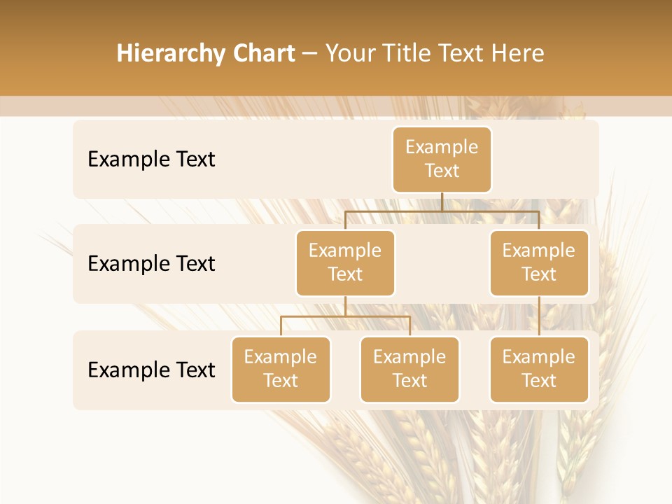 Closeup Dry Agricultural PowerPoint Template