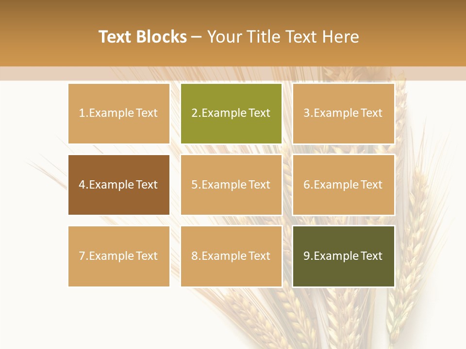 Closeup Dry Agricultural PowerPoint Template