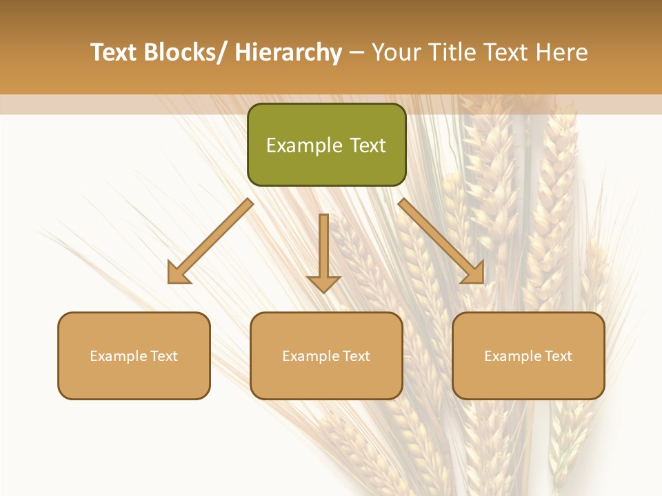 Closeup Dry Agricultural PowerPoint Template