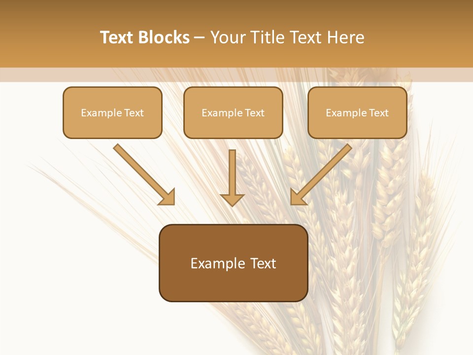Closeup Dry Agricultural PowerPoint Template