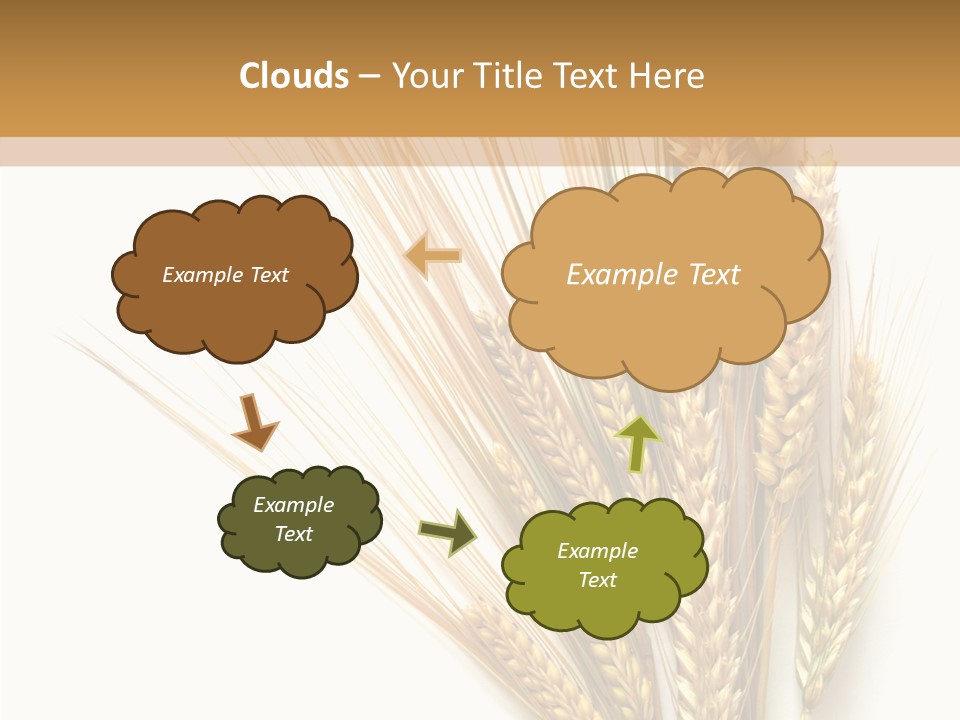 Closeup Dry Agricultural PowerPoint Template