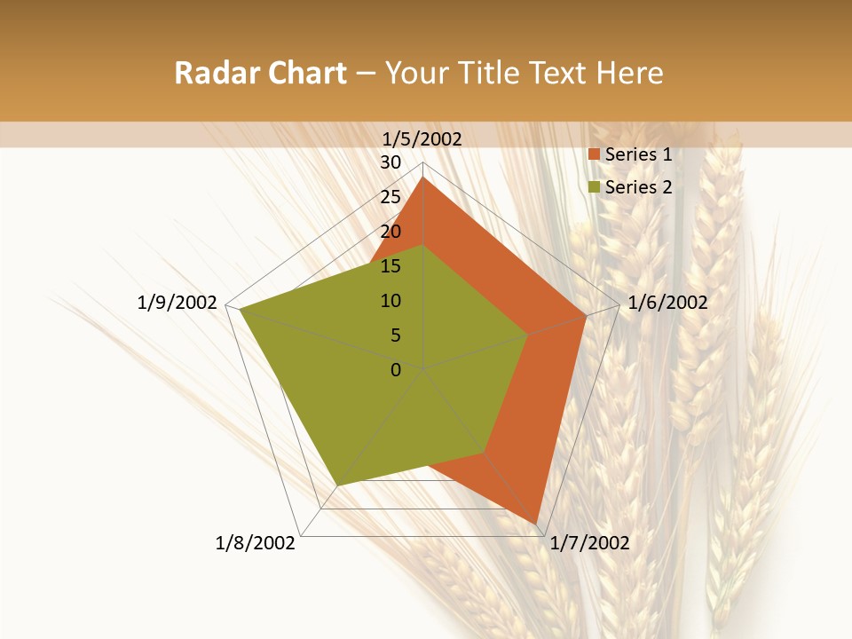 Closeup Dry Agricultural PowerPoint Template