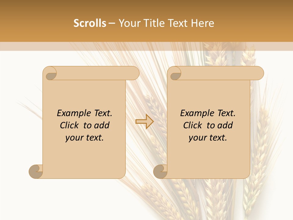 Closeup Dry Agricultural PowerPoint Template