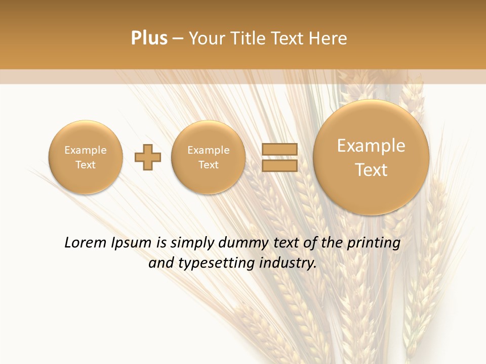 Closeup Dry Agricultural PowerPoint Template