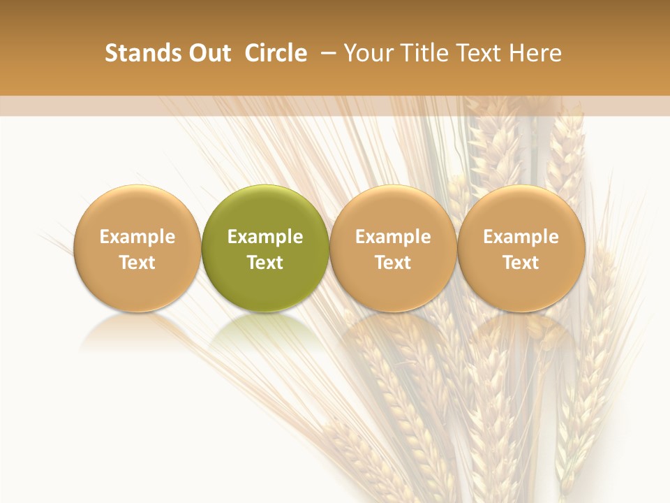 Closeup Dry Agricultural PowerPoint Template