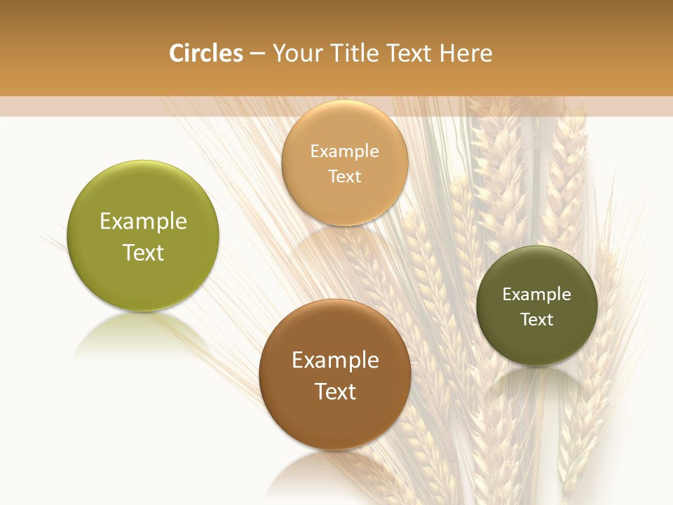 Closeup Dry Agricultural PowerPoint Template