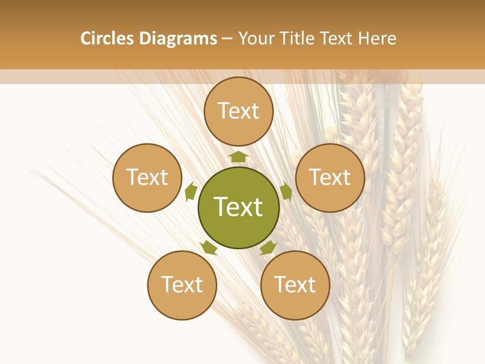 Closeup Dry Agricultural PowerPoint Template