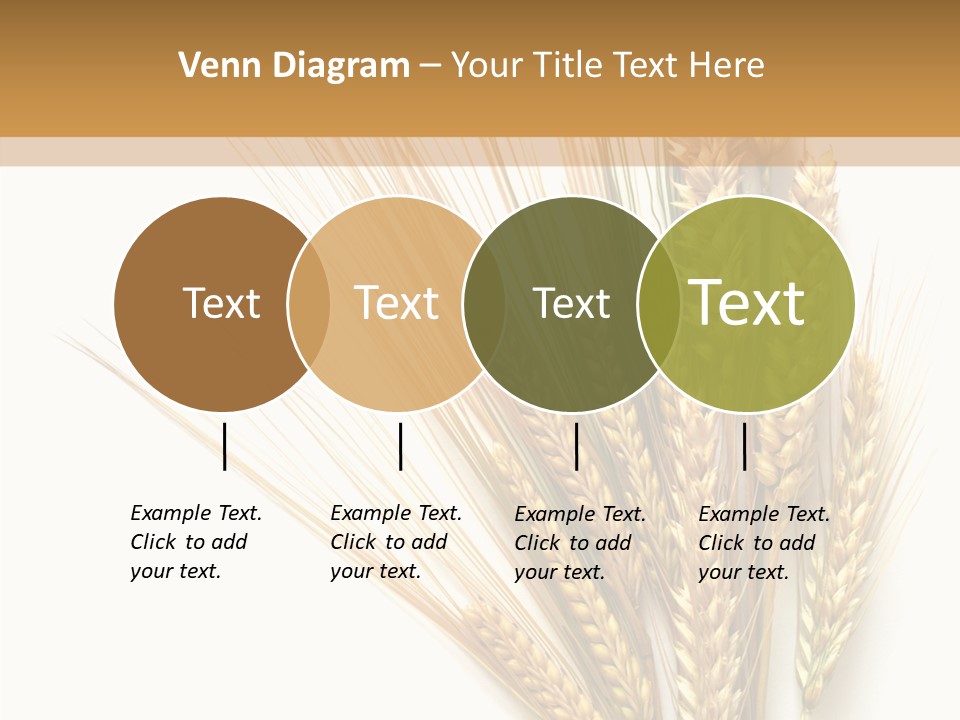 Closeup Dry Agricultural PowerPoint Template