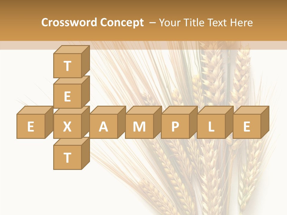 Closeup Dry Agricultural PowerPoint Template