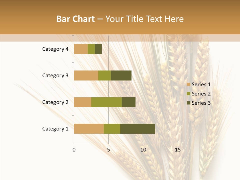 Closeup Dry Agricultural PowerPoint Template