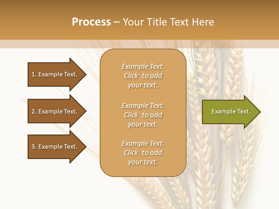 Closeup Dry Agricultural PowerPoint Template