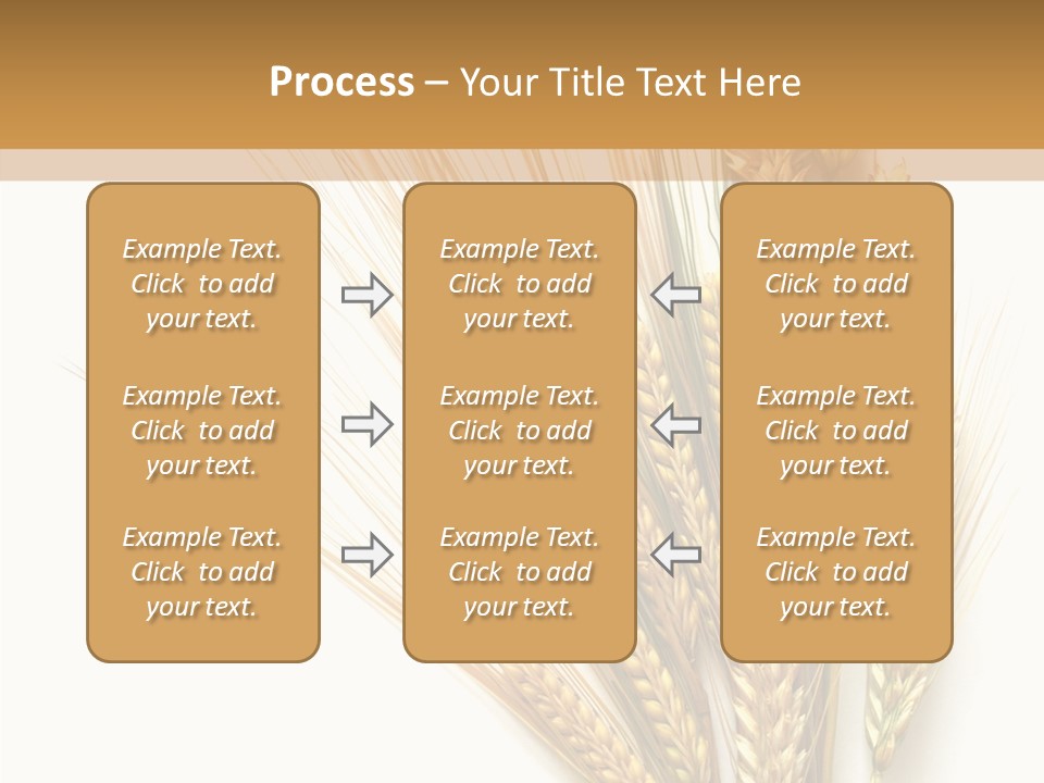 Closeup Dry Agricultural PowerPoint Template