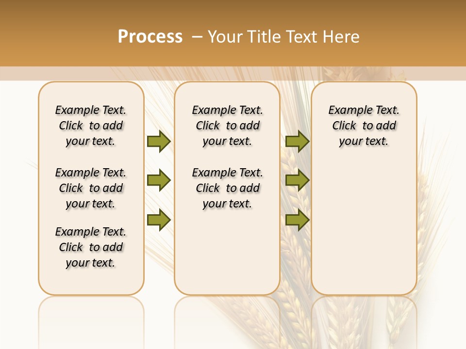 Closeup Dry Agricultural PowerPoint Template
