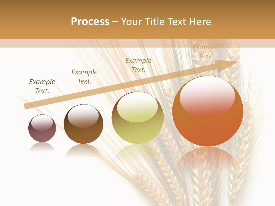 Closeup Dry Agricultural PowerPoint Template