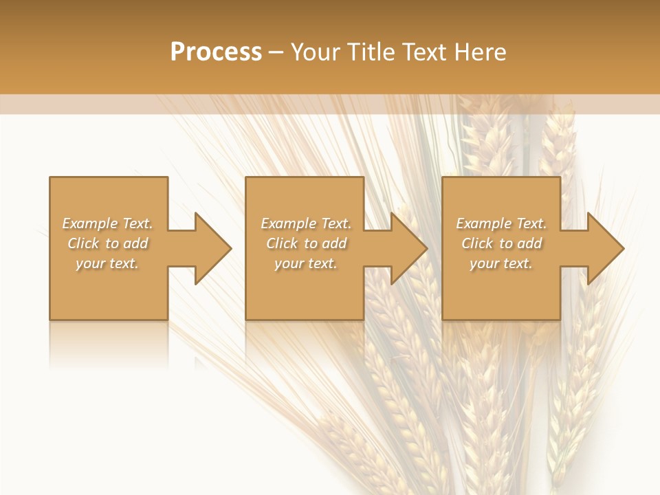 Closeup Dry Agricultural PowerPoint Template