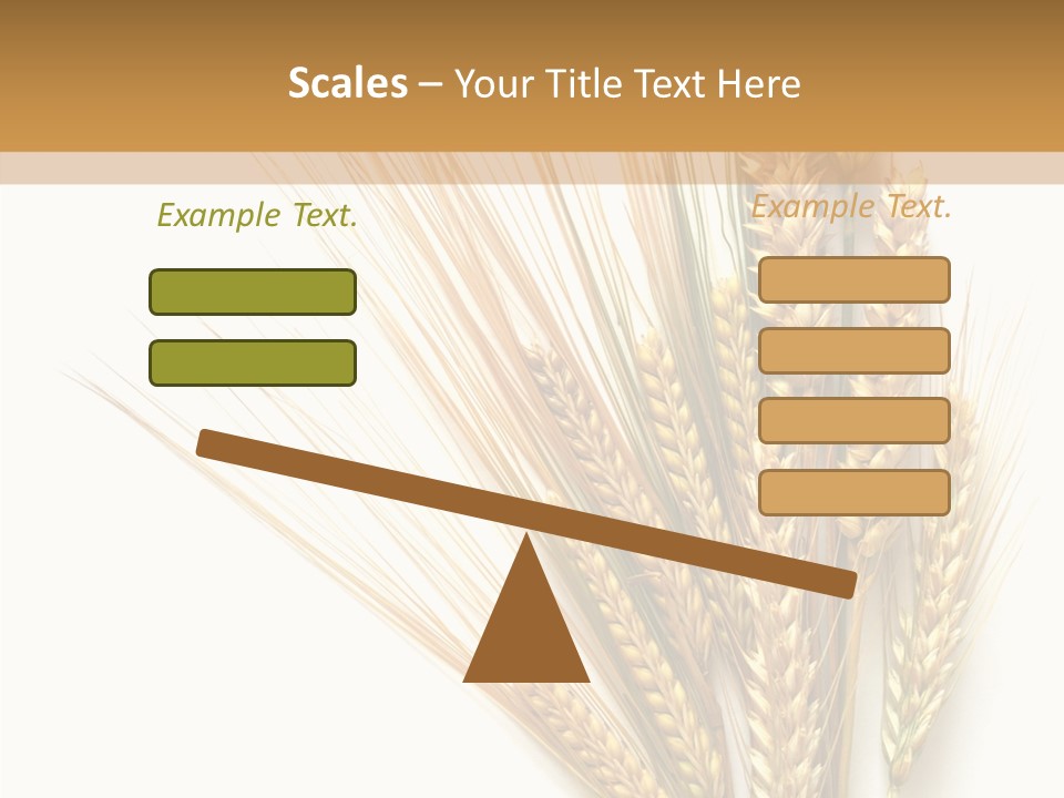 Closeup Dry Agricultural PowerPoint Template