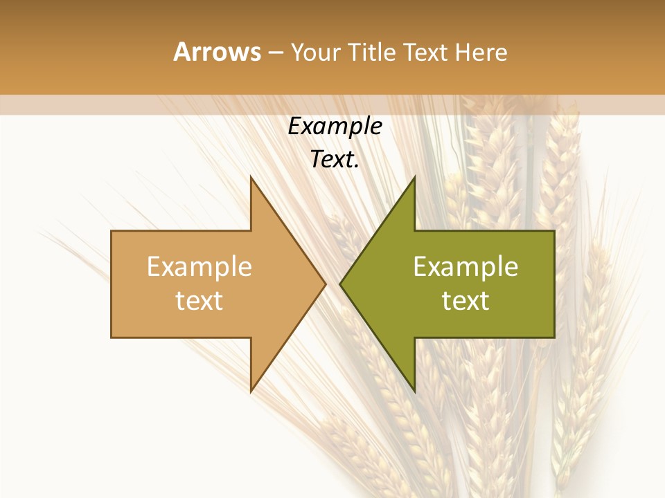 Closeup Dry Agricultural PowerPoint Template
