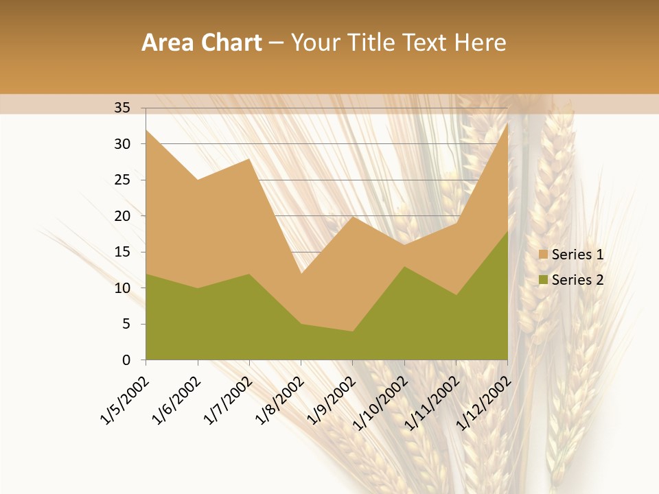 Closeup Dry Agricultural PowerPoint Template