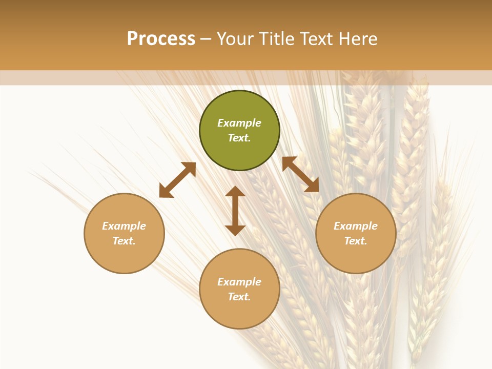 Closeup Dry Agricultural PowerPoint Template