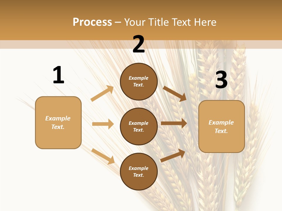 Closeup Dry Agricultural PowerPoint Template