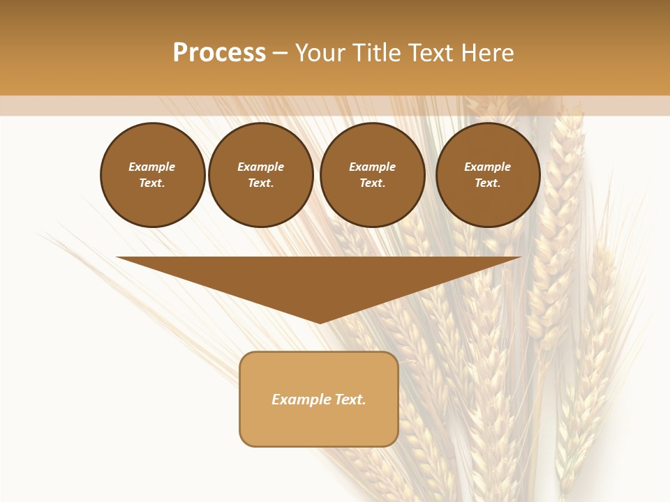 Closeup Dry Agricultural PowerPoint Template