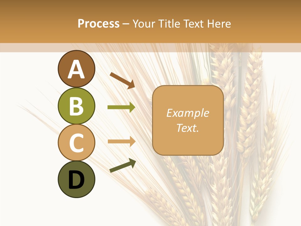 Closeup Dry Agricultural PowerPoint Template