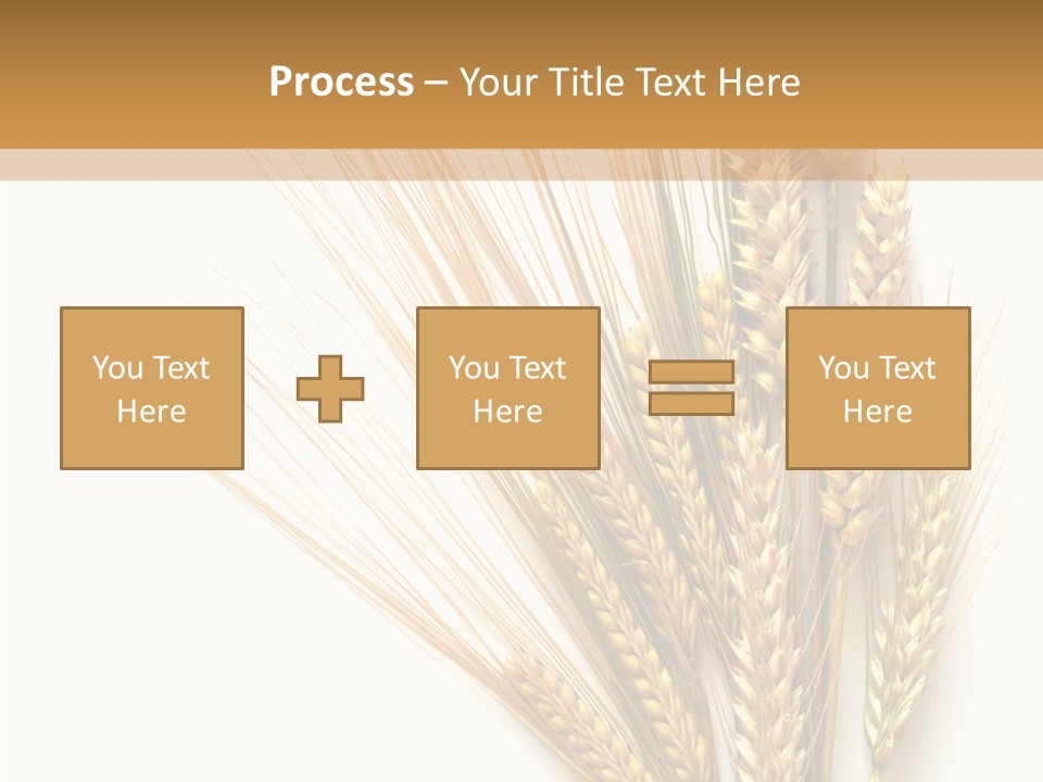 Closeup Dry Agricultural PowerPoint Template