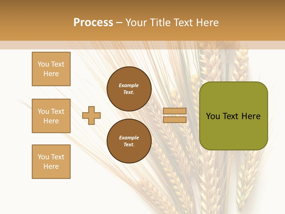 Closeup Dry Agricultural PowerPoint Template