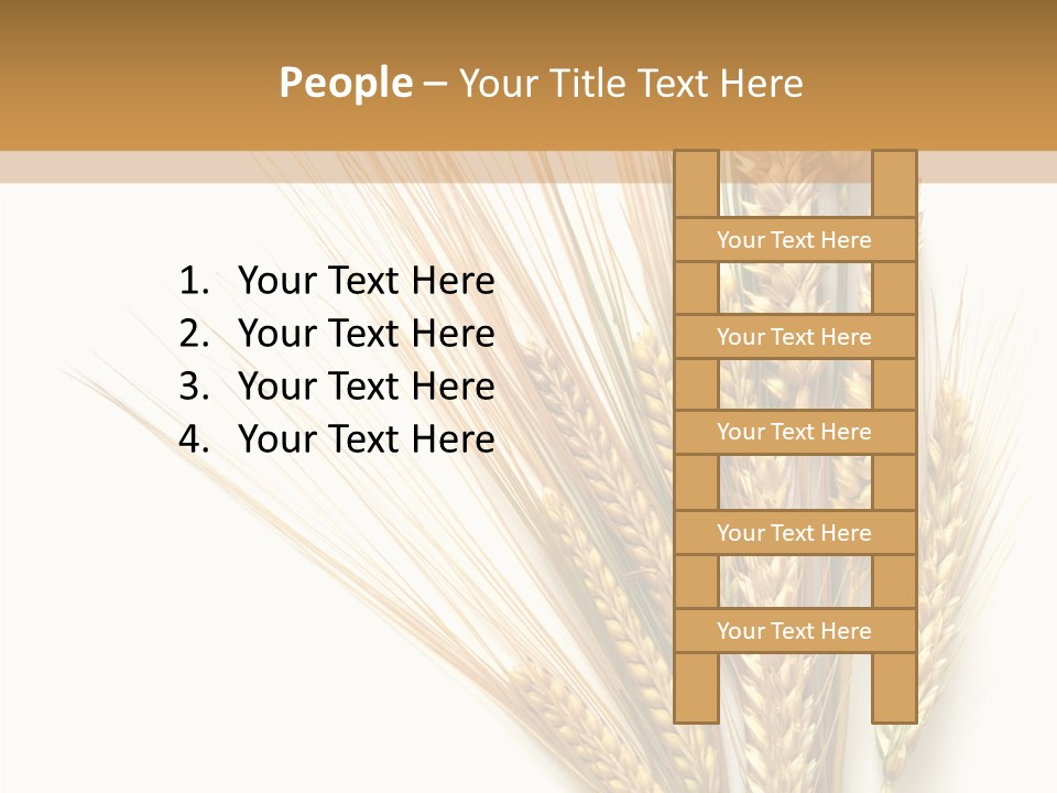 Closeup Dry Agricultural PowerPoint Template