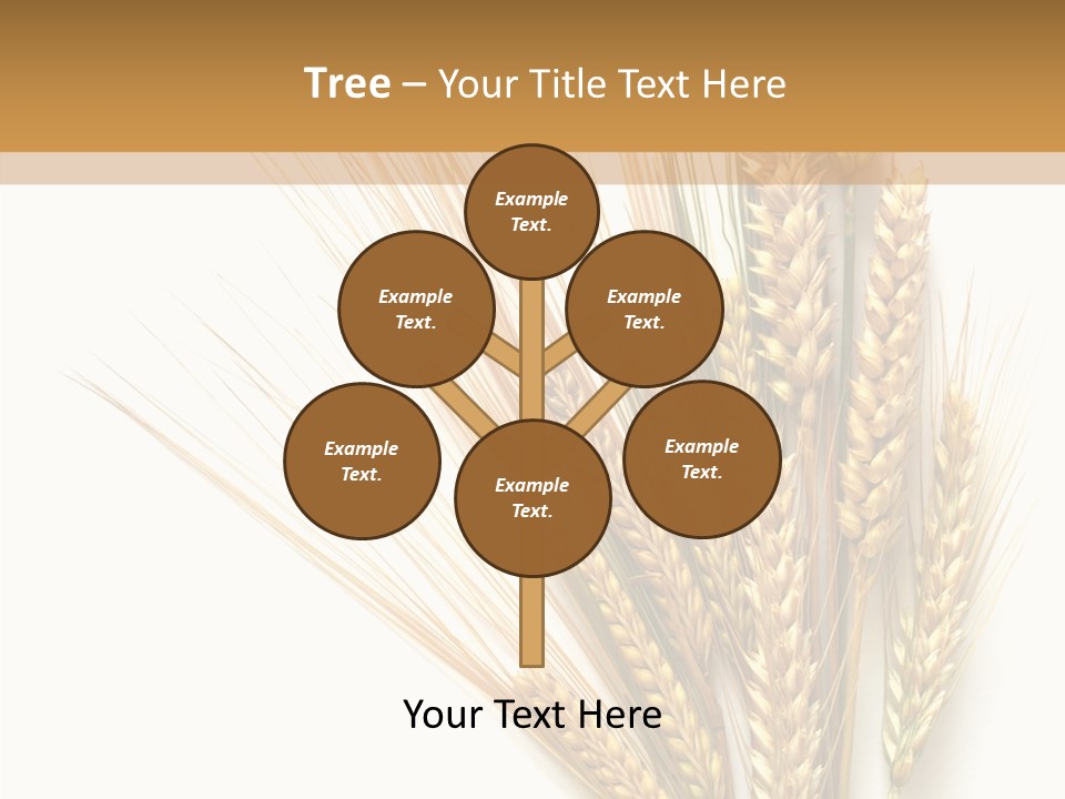 Closeup Dry Agricultural PowerPoint Template
