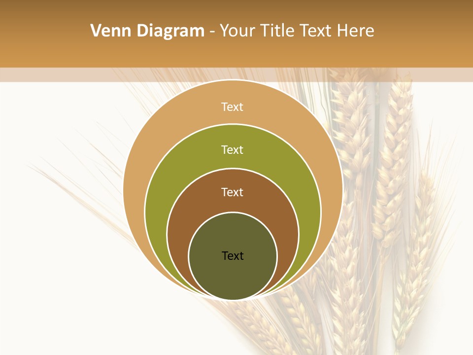 Closeup Dry Agricultural PowerPoint Template