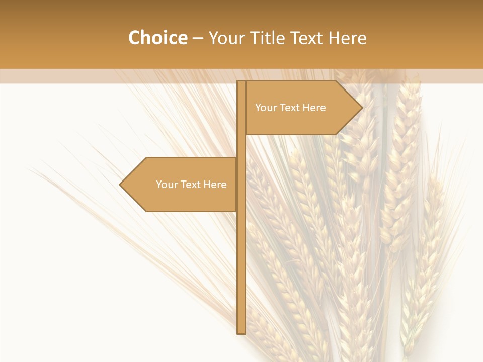 Closeup Dry Agricultural PowerPoint Template