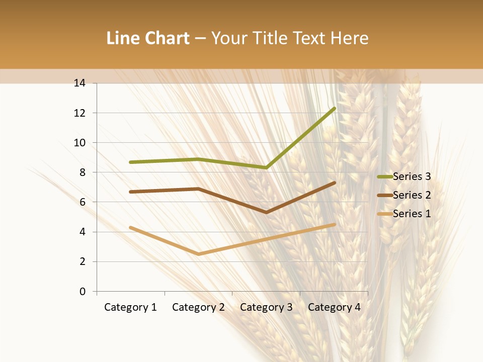 Closeup Dry Agricultural PowerPoint Template