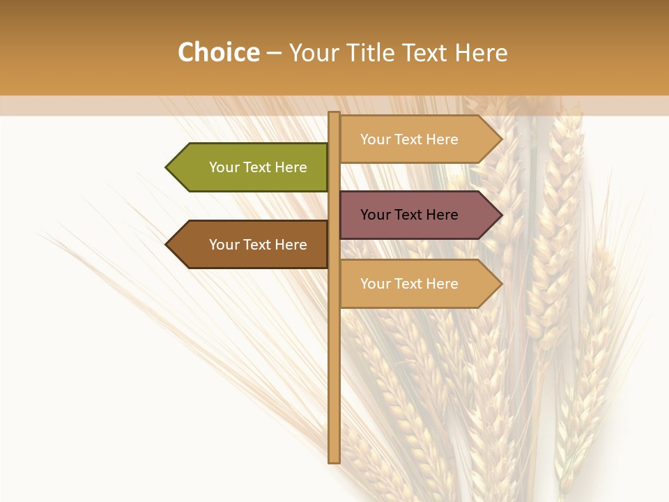 Closeup Dry Agricultural PowerPoint Template