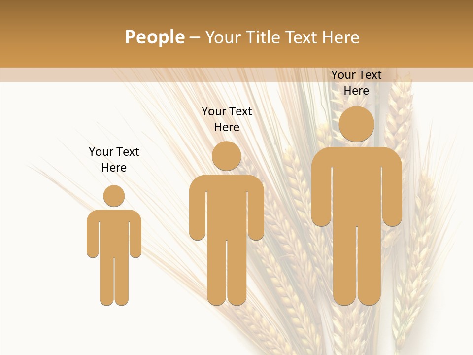 Closeup Dry Agricultural PowerPoint Template