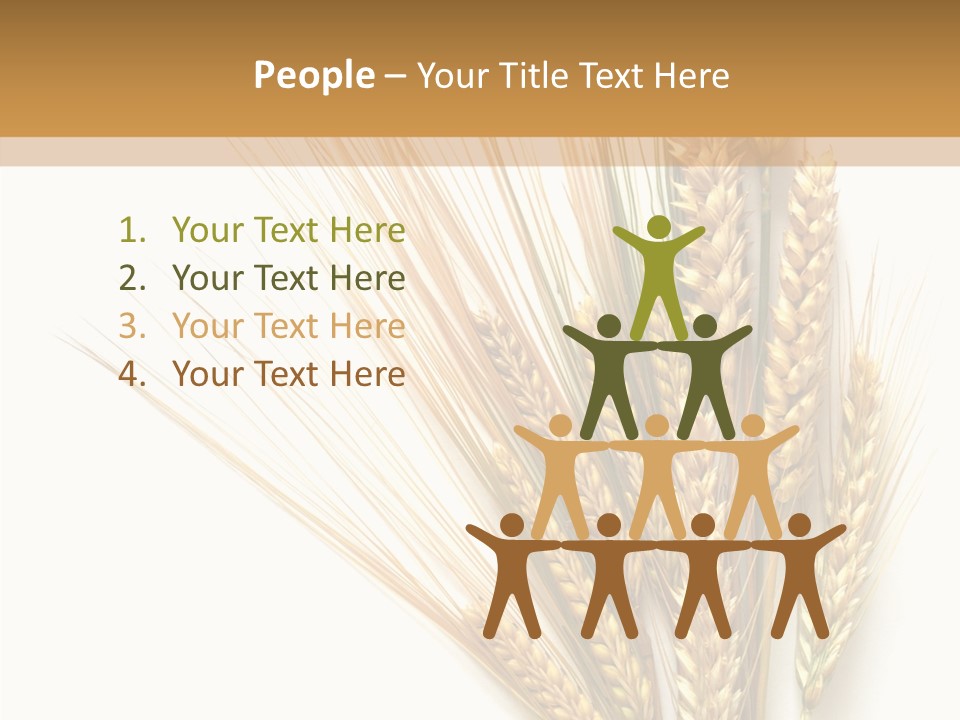 Closeup Dry Agricultural PowerPoint Template